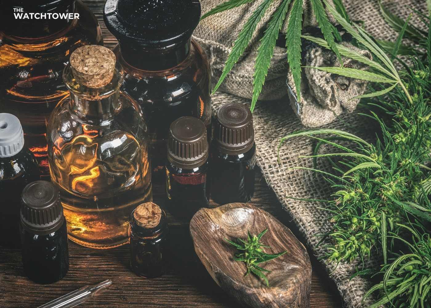 CBD Oil Vs. Tincture - What's The Difference?