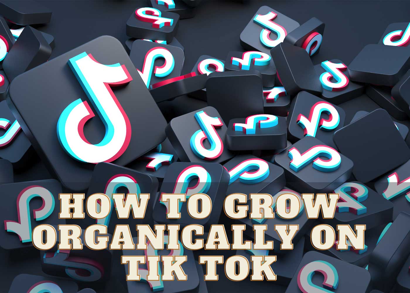 How to Grow Organically on Tik Tok