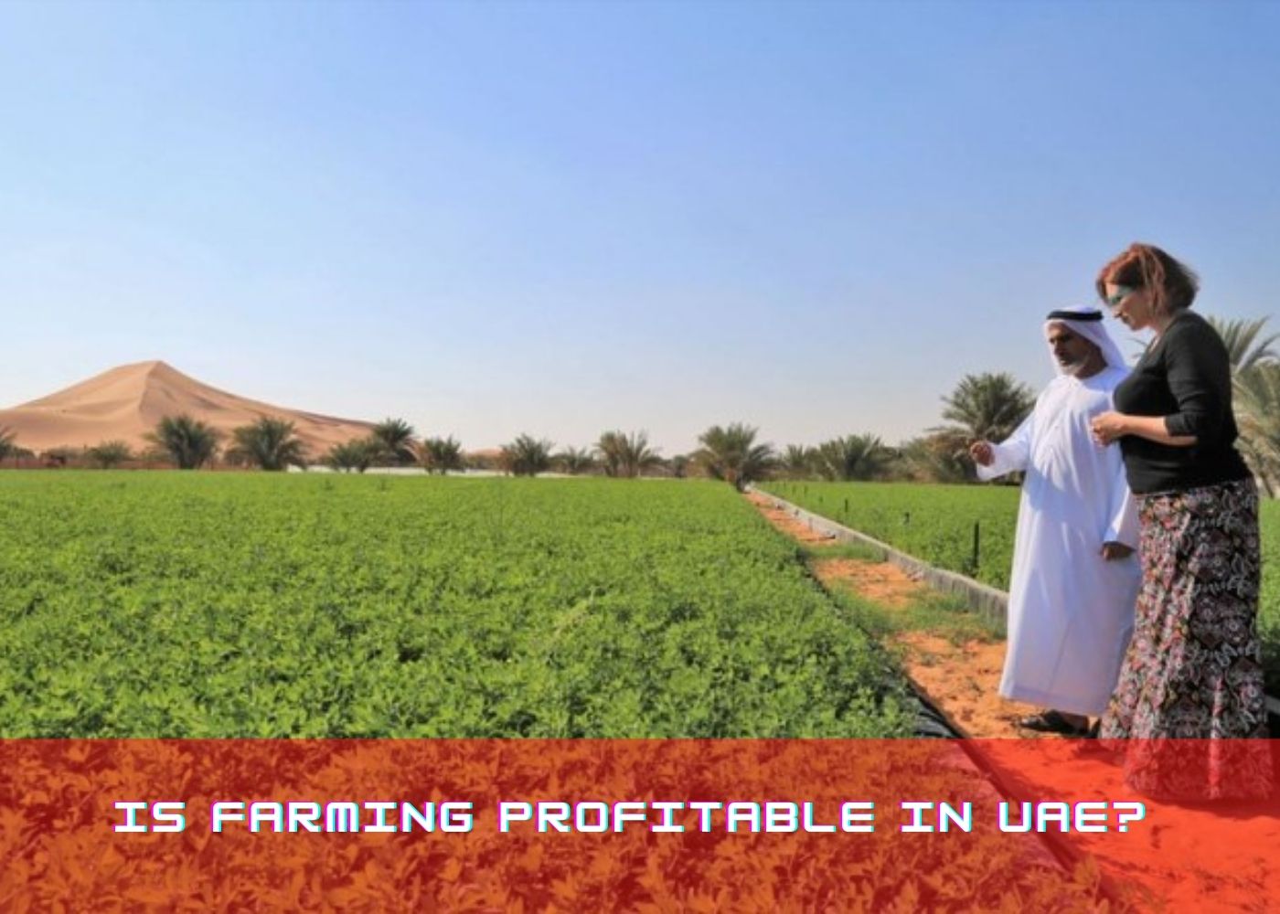 Is farming profitable in UAE? 