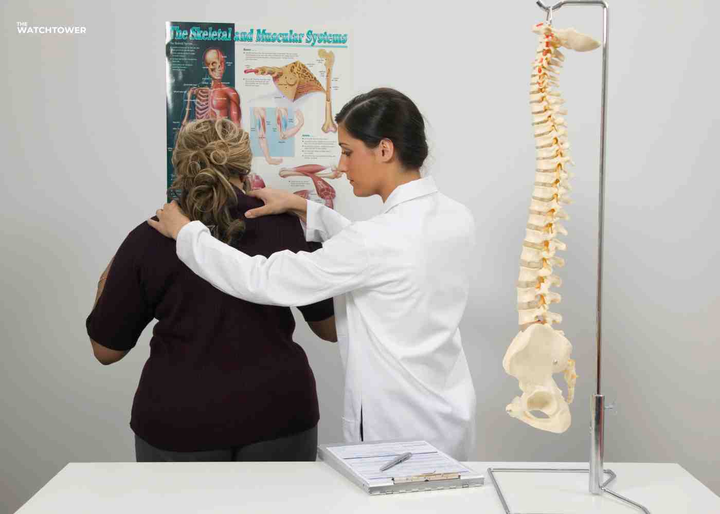 The Importance of Chiropractic Therapy