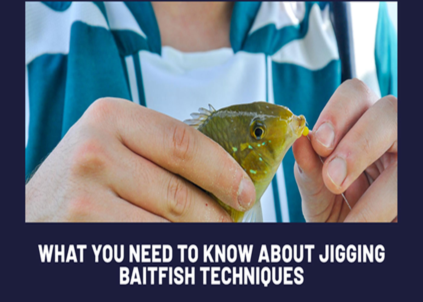 What You Need To Know About Jigging Baitfish Techniques